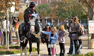 The Woodlands, TX mounted police.